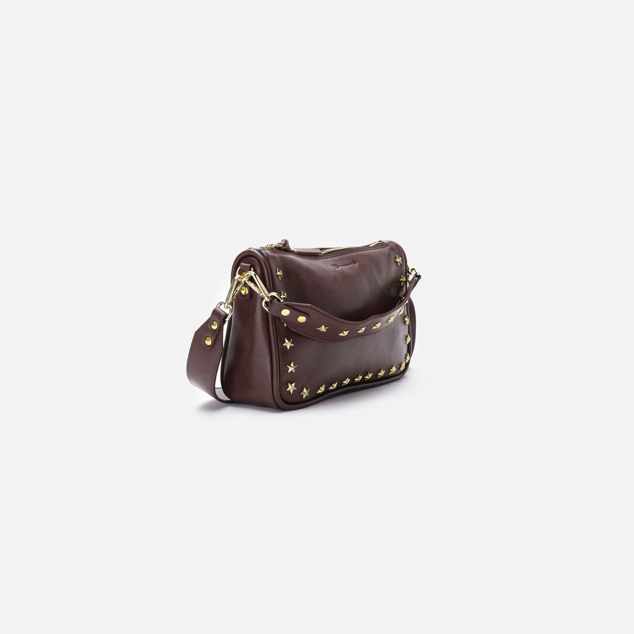 Sandy Stars Testa
